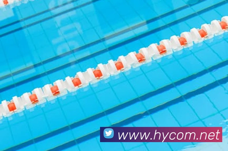 世界杯直播免费观看平台生态图