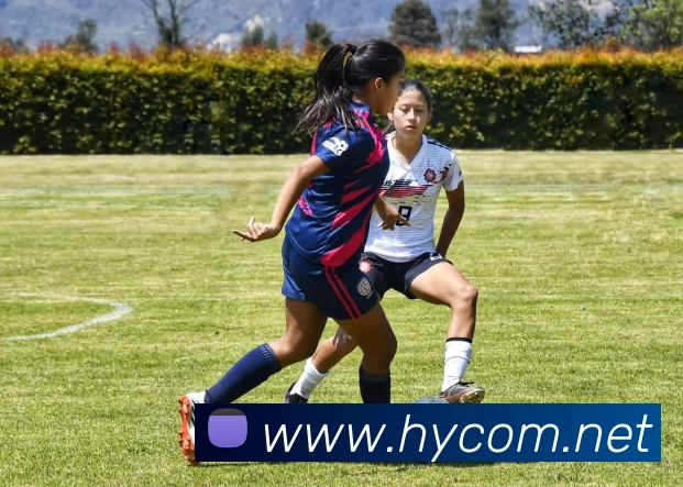 世界杯直播免费观看APP 封面图